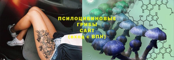 стаф Алексеевка